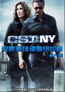 犯罪现场调查:纽约篇第六季