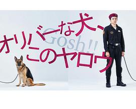 奥莉佛是狗,(天哪!!)这家伙