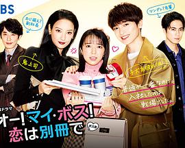 哦!我的老板!恋爱随书附赠