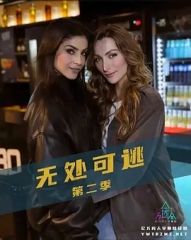 无处可逃第二季